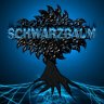 Schwarzbaum
