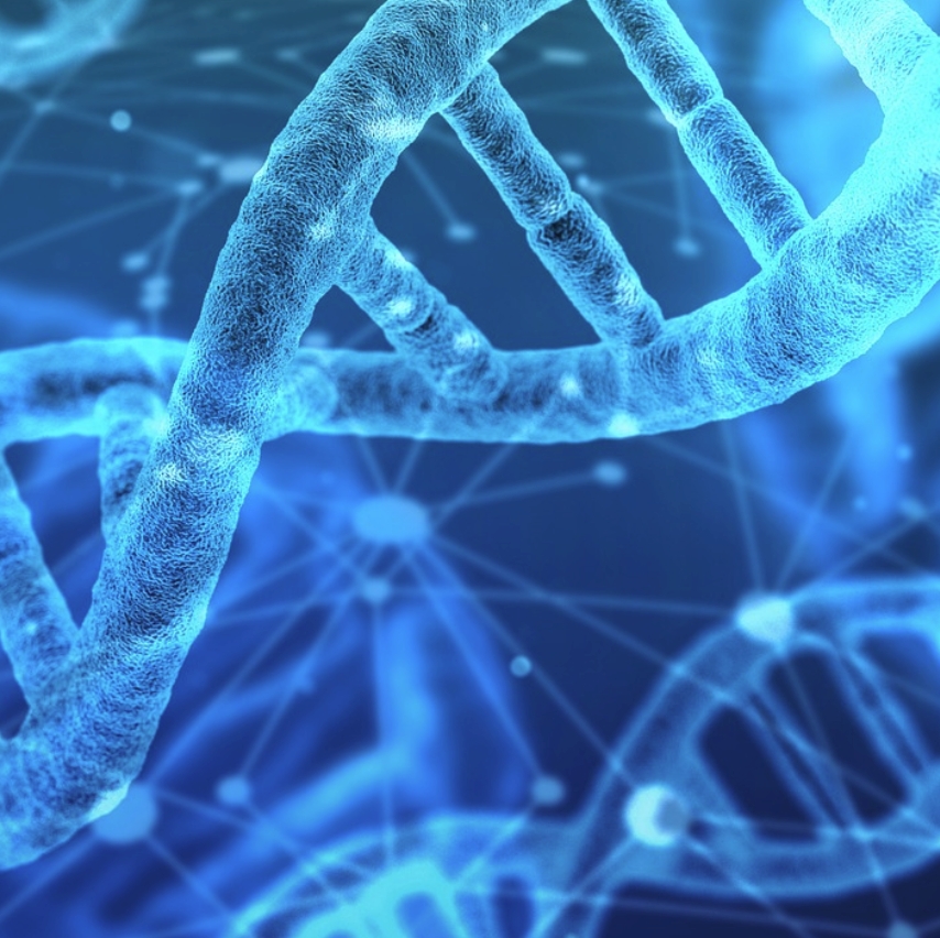DNA-logo.jpg