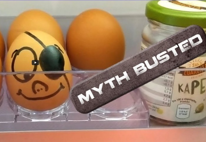 Myth-Busted-Egg.jpg
